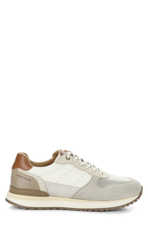 Ambitious 13939 Low Top Sneaker In Multi