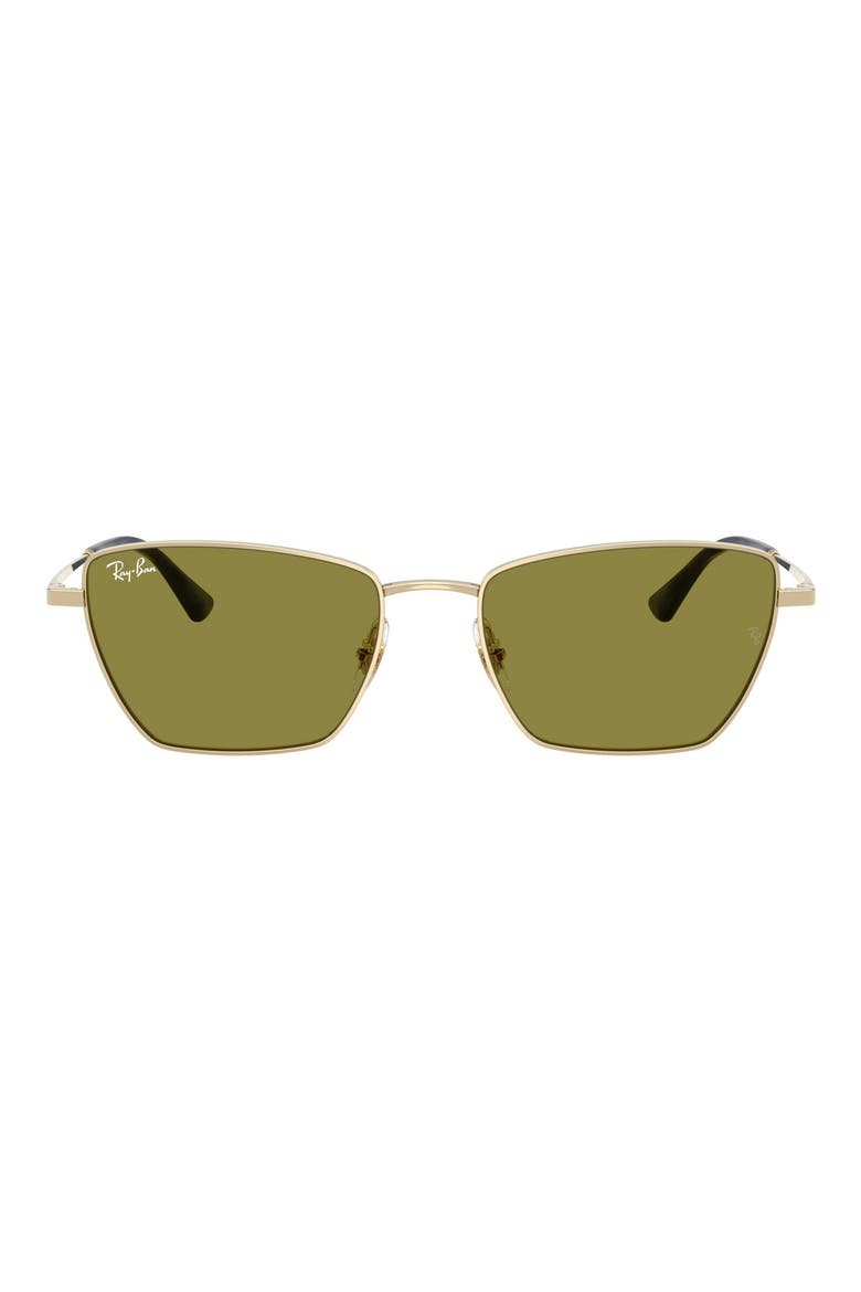 Ray-Ban サングラス　DREA BIO-BASED Ray-Ban Drea Bio-Based 53mm Polarized Irregular Cat Eye Sunglasses