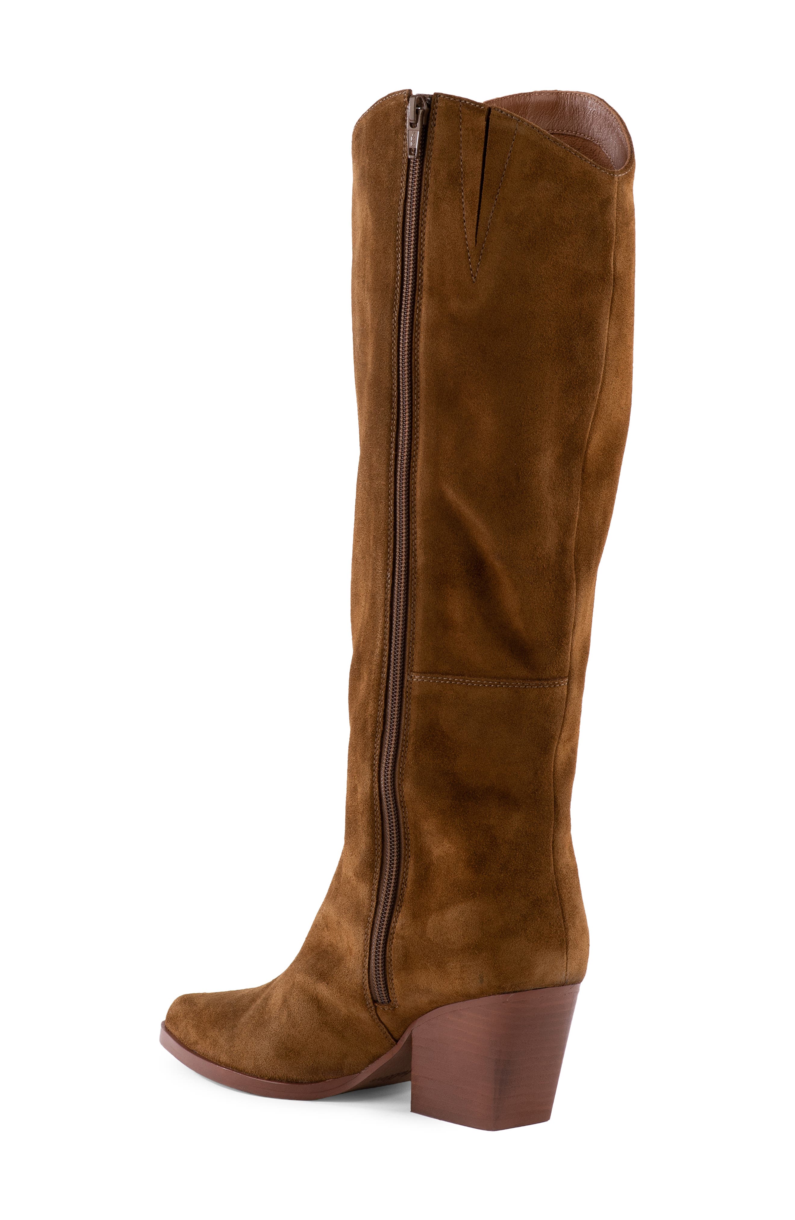 Begging You Pointed Toe Boot, Alternate, color, COGNAC