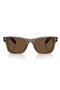 selected Transparent Terra / Dark Brown