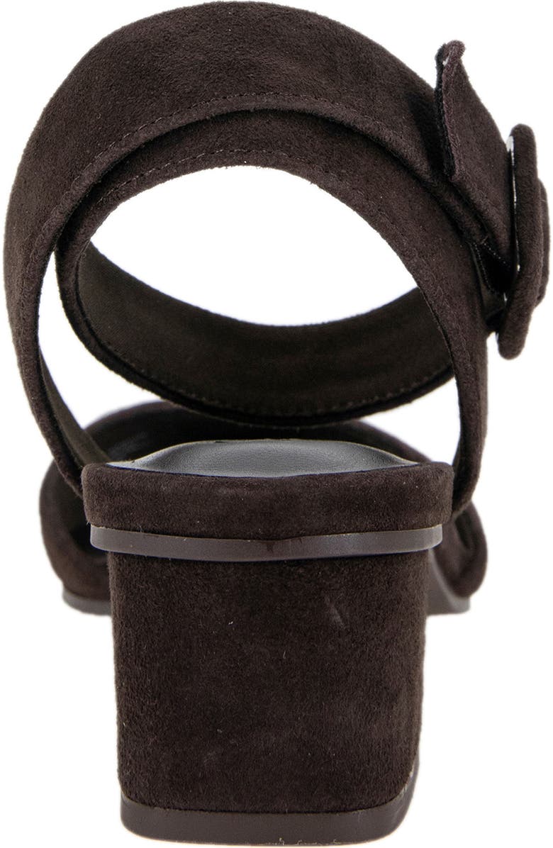 Splendid Lisetta Pointed Toe Ankle Wrap Pump, Alternate, color, Dark Chocolate