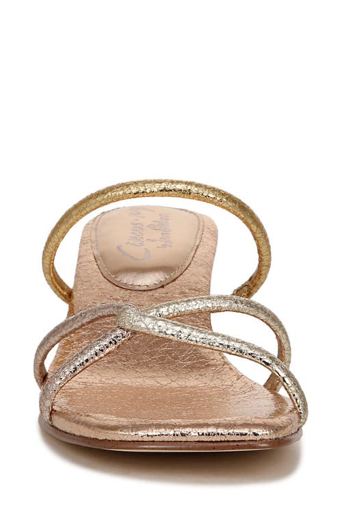 CIRCUS NY BY SAM EDELMAN CIRCUS NY BY SAM EDELMAN FAYE STRAPPY SANDAL