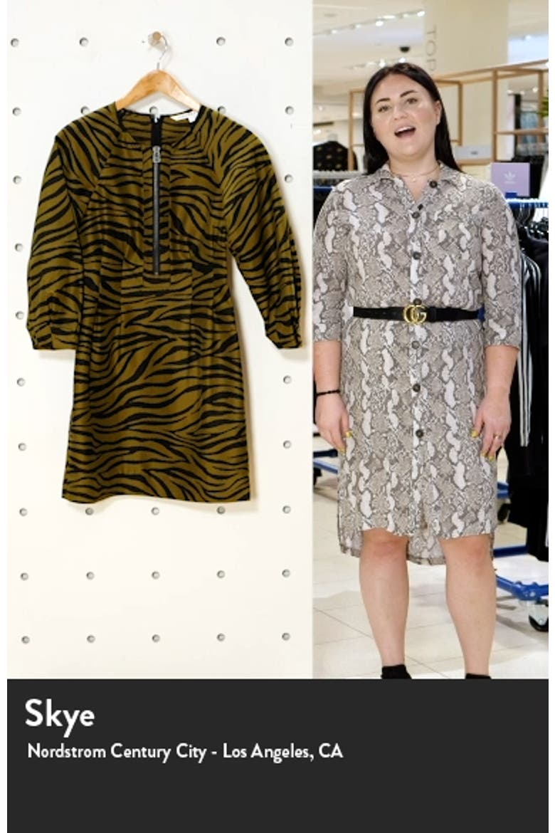Navi Animal Stripe Long Sleeve Minidress video