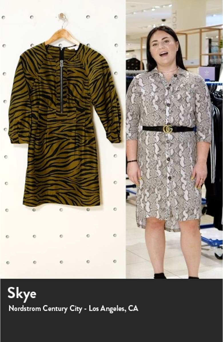 Navi Animal Stripe Long Sleeve Minidress, sales video thumbnail