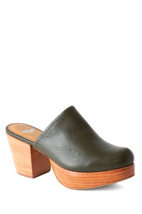Fortress Ava Clog Mule In Green