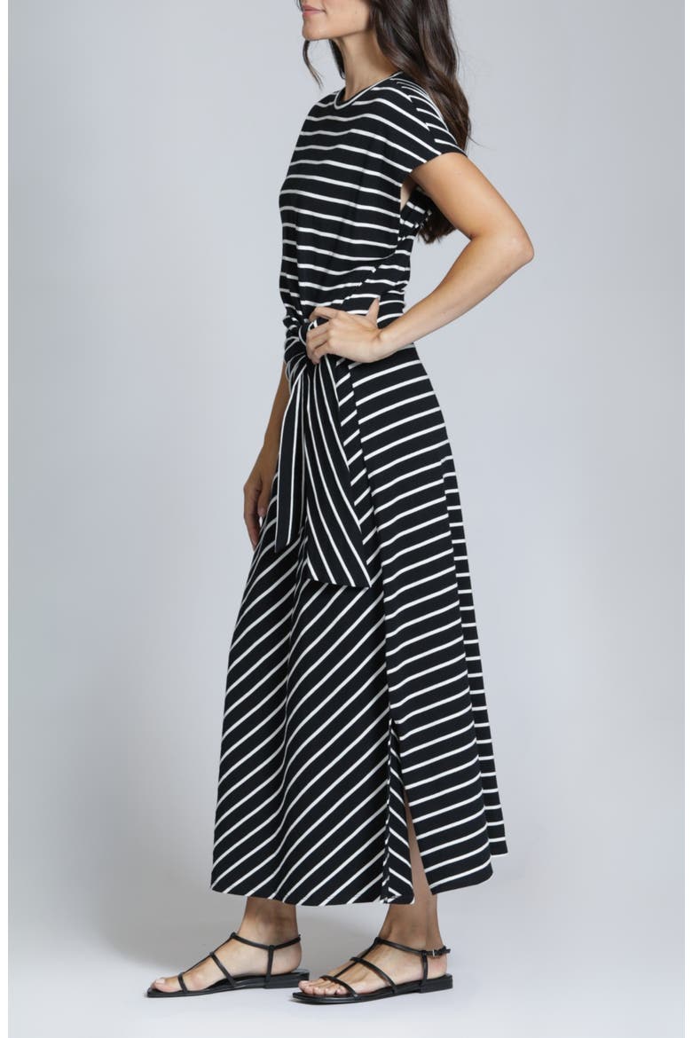 Stripe Maxi Dress, Alternate, color, BLACKWHITE STRIPE