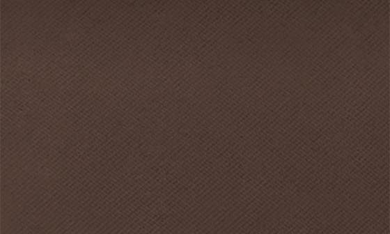 9N1 EBONY
