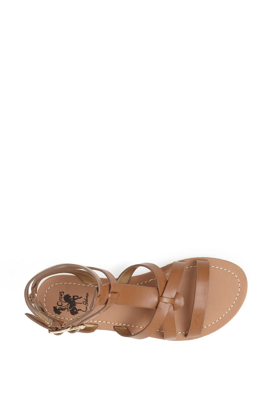 Circus by Sam Edelman 'Selma' Gladiator Sandal, Alternate, color, SADDLE