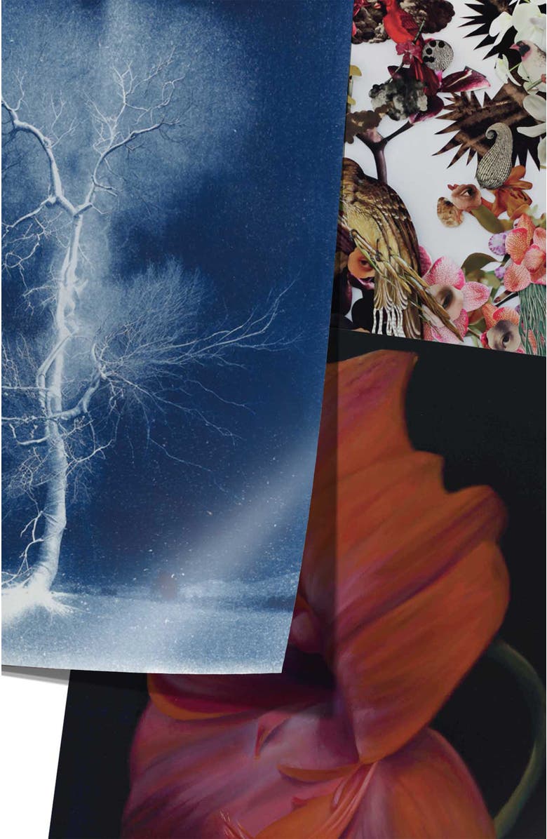 Bond & Grace Mysteries of Creation Gift Wrap & Creative Papers, Alternate, color, Purple