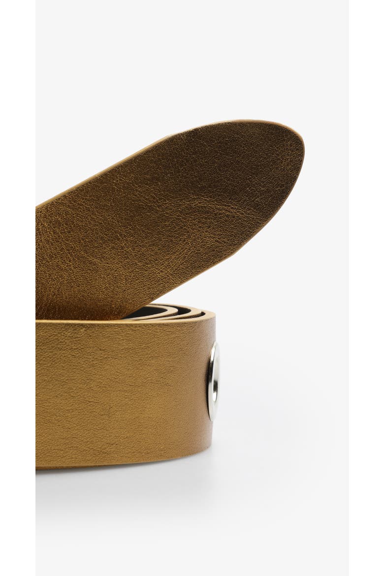 Eyelet Belt, Alternate, color, Bronze
