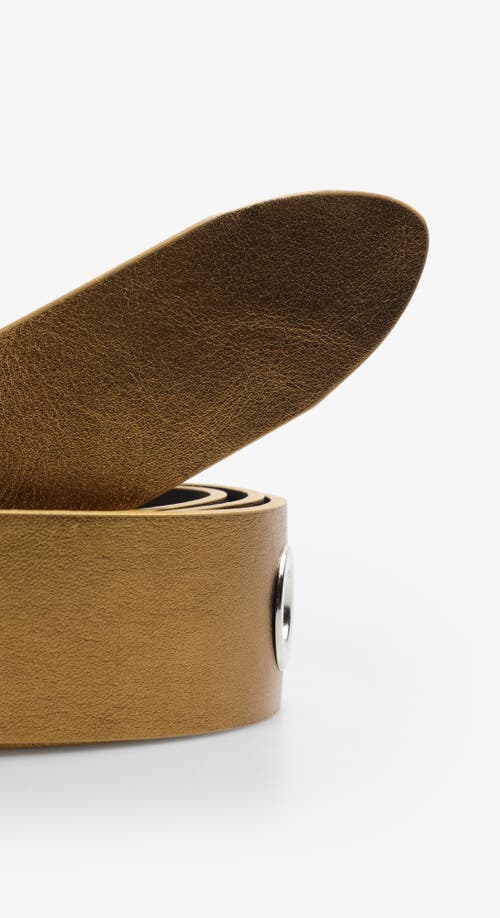 Scalpers Eyelet Belt In Brown