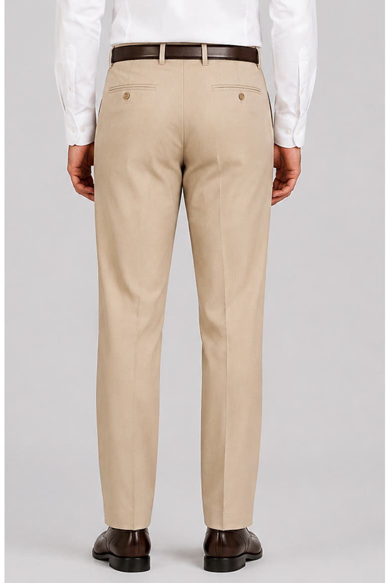Stefano Modern Fit Wool Dress Pants, Alternate, color, BEIGE