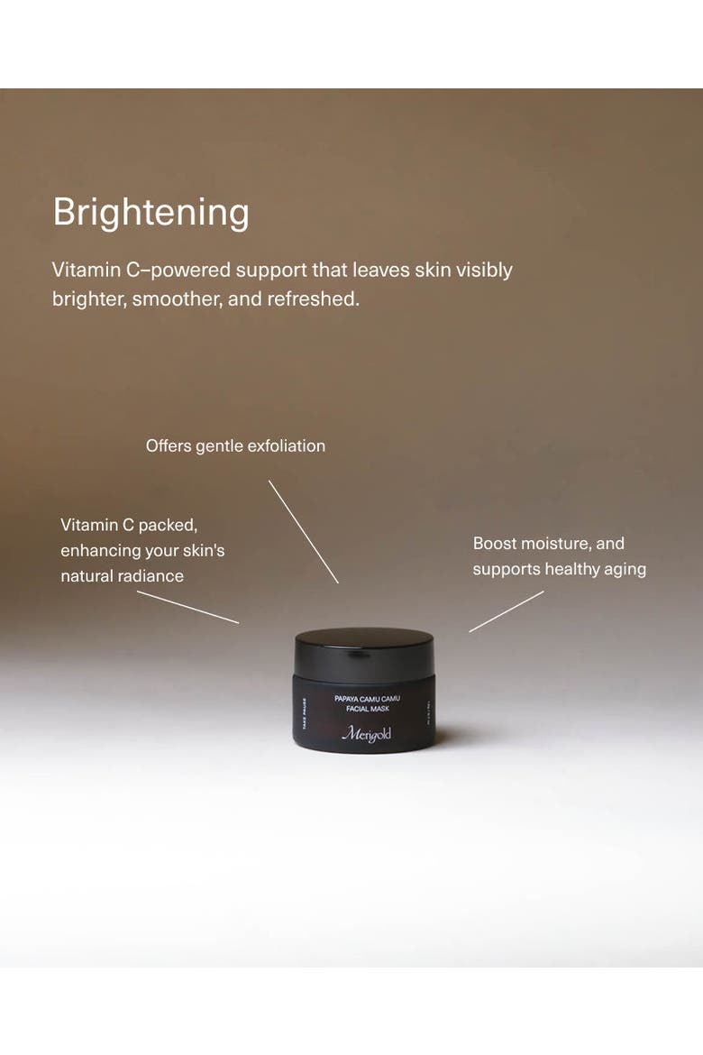 The Starter Collection Papaya Camu Camu Mask, Alternate, color, Pink