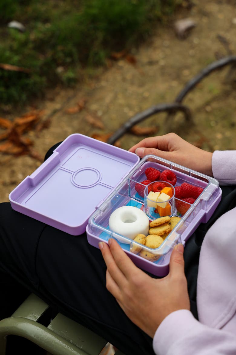 Snack leakproof Bento Box, Alternate, color, Lavande Purple