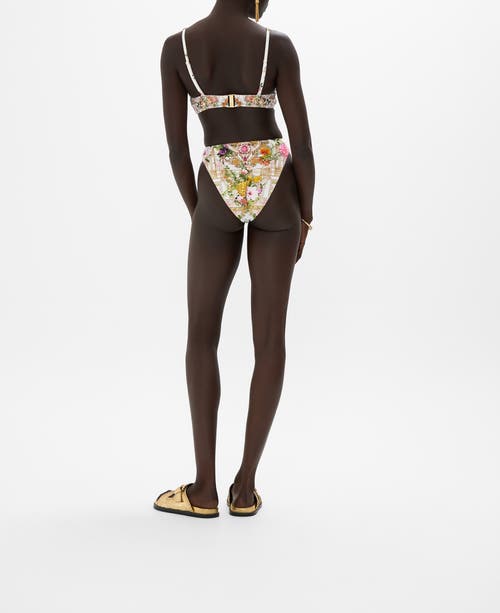 V Neck Hardware Bra Egyptian Rose In Egyptian Rose