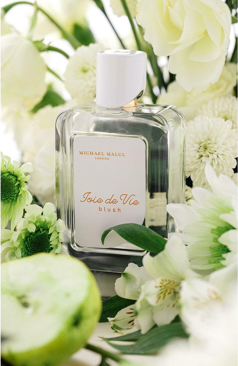 Michael Malul Joie de Vie Blush, Alternate, color, NO COLOR