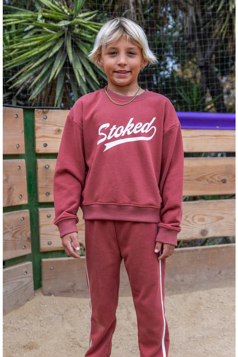 Kids' Ryder Stoked Sweatshirt, Alternate, color, CANYON RED