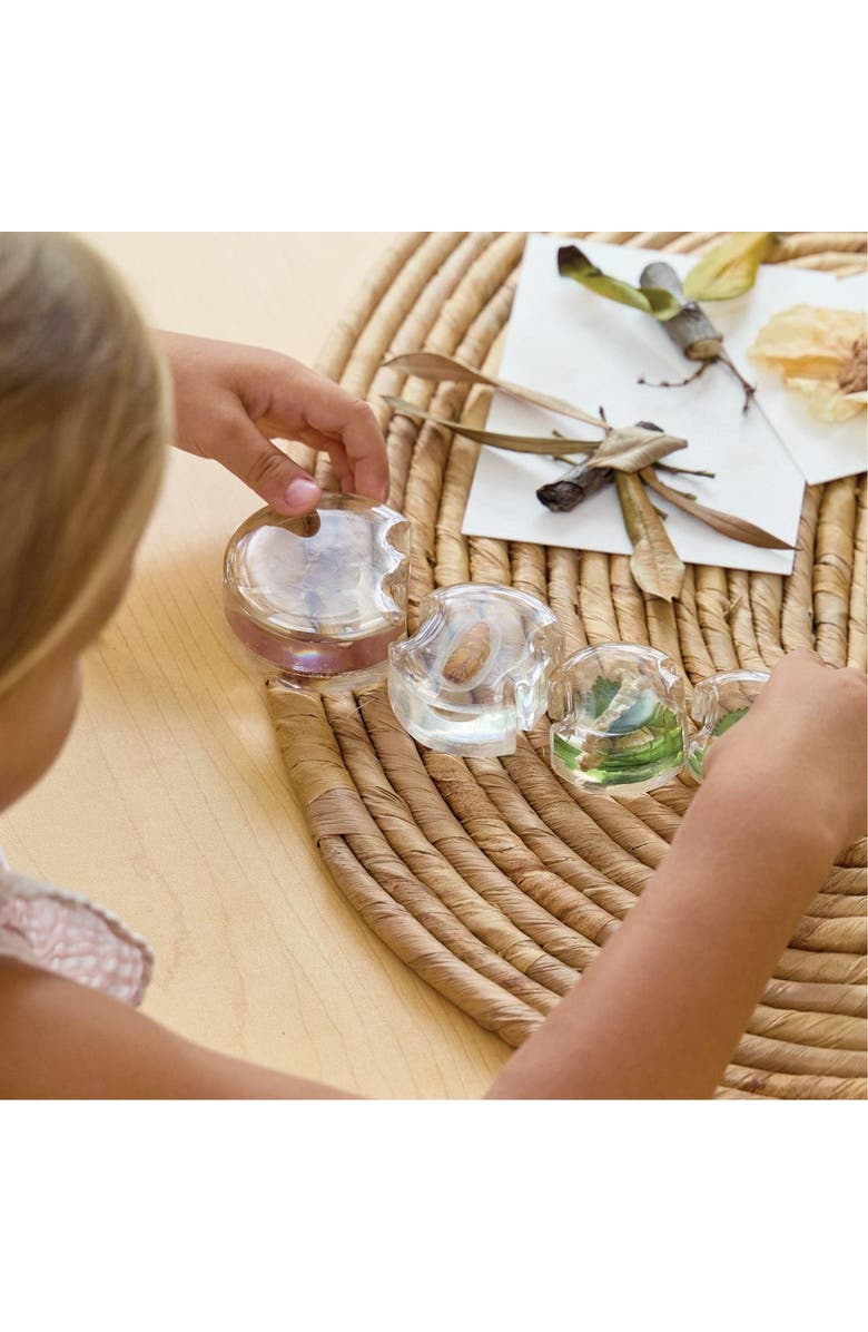 Kaplan Early Learning Company Specimen Life Cycle Puzzles Moth, Alternate, color, Multicolored