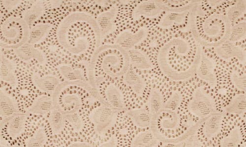Tc Assorted 3-pack Lace Hipster Briefs In Warm Beige