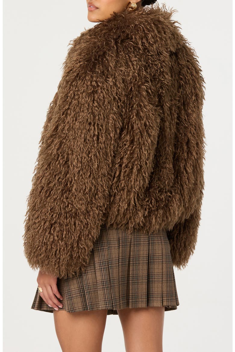 Kamrath Faux Fur Jacket, Alternate, color, BROWN