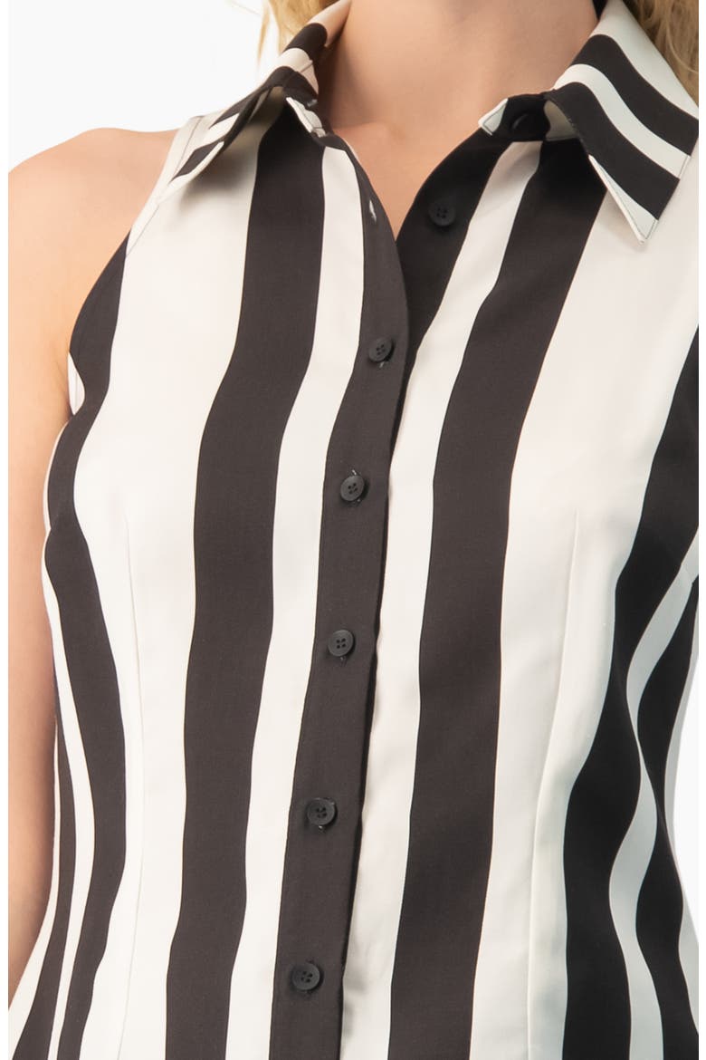 Bold Vertical Stripe Sleeveless Fitted Button-Front Shirt, Alternate, color, Black