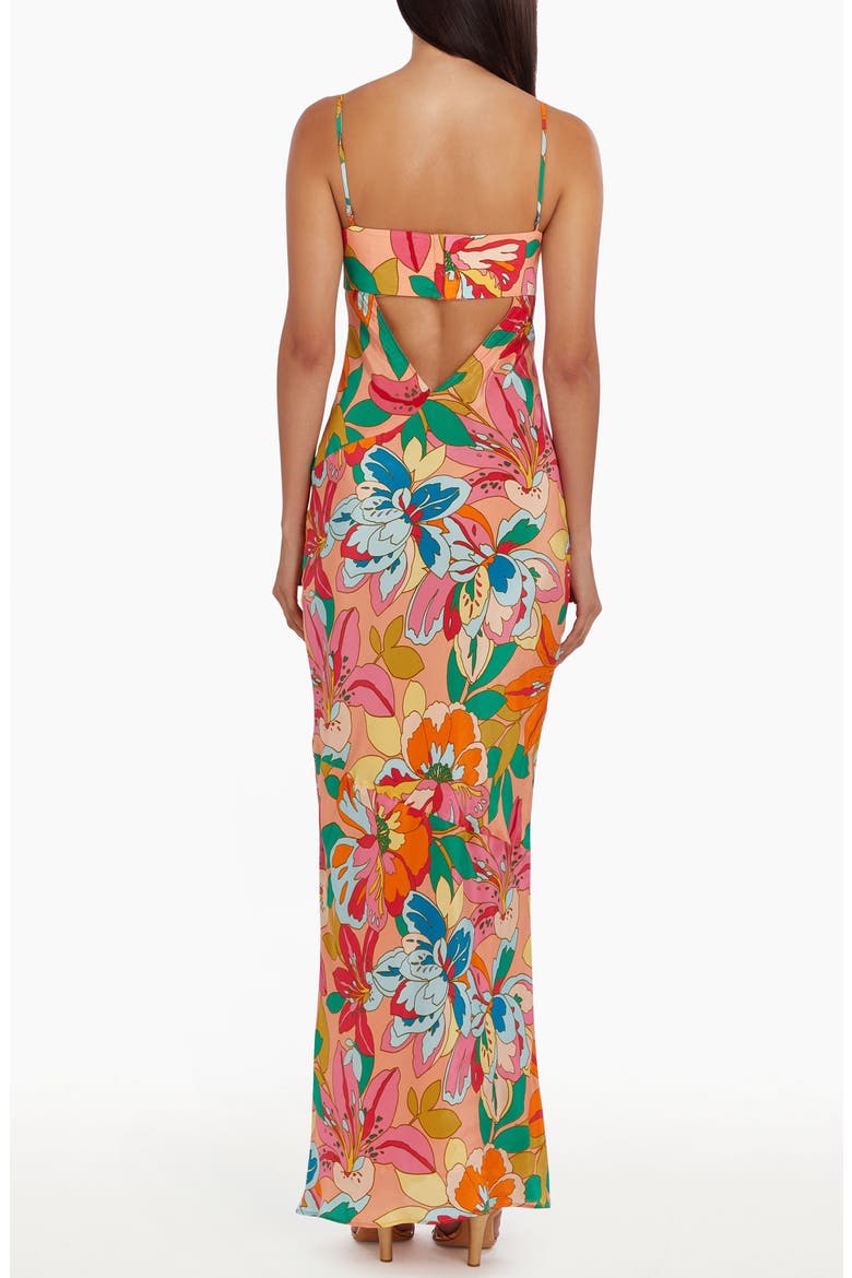 Janeiro Floral Maxi Dress, Alternate, color, BOTANICO