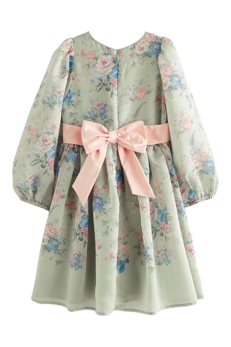 Kids' Romantic Rose Floral Long Sleeve Organza Dress, Alternate, color, DUCK EGG