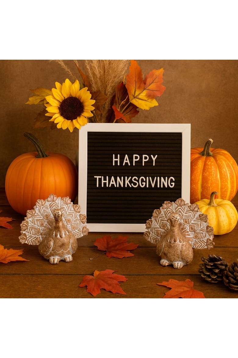 Large White-washed Turkey Figurine Set of 2 Fall Harvest Home Decorations for Thanksgiving and Autumn, Alternate, color, Multicolored