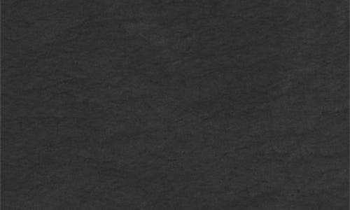 Rizort Kore Drawstring Nylon Shorts In Black