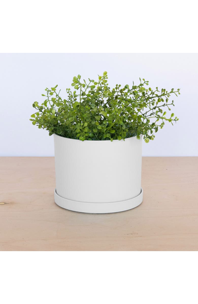 Bloem Mathers 5W x 7H Inch Round Gardening Planter with Saucer Tray, White, Alternate, color, White