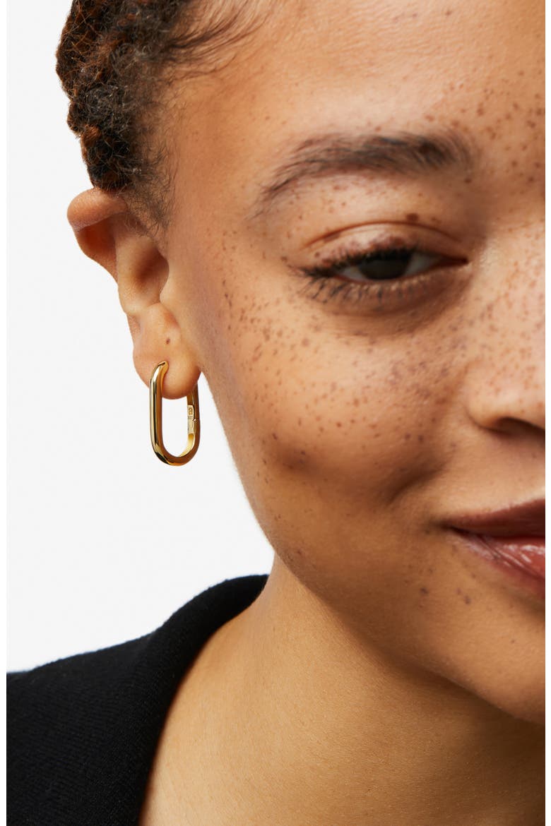 Gold Hoop Earrings - Rox Medium, Alternate, color, Gold