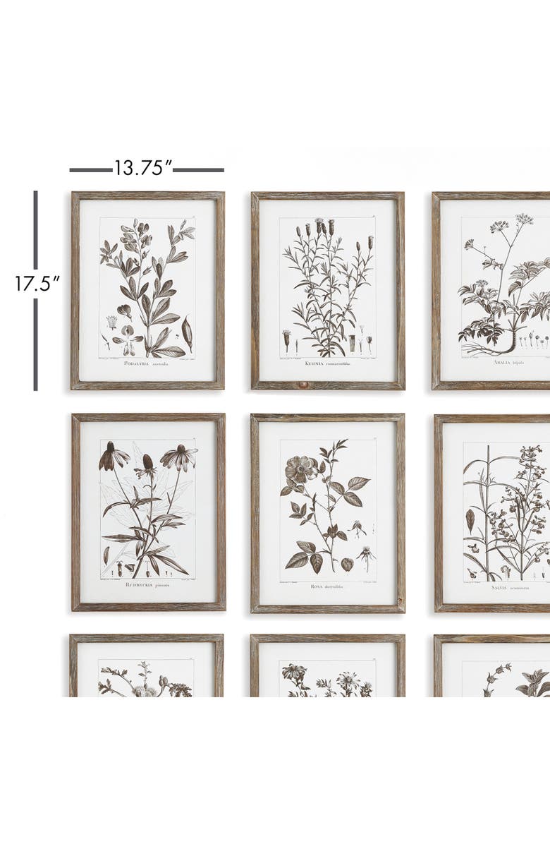 Napa Home & Garden Rustic Foliage Study Set of 9, Alternate, color, 