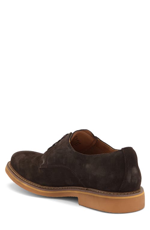 Steve Madden Petit Derby