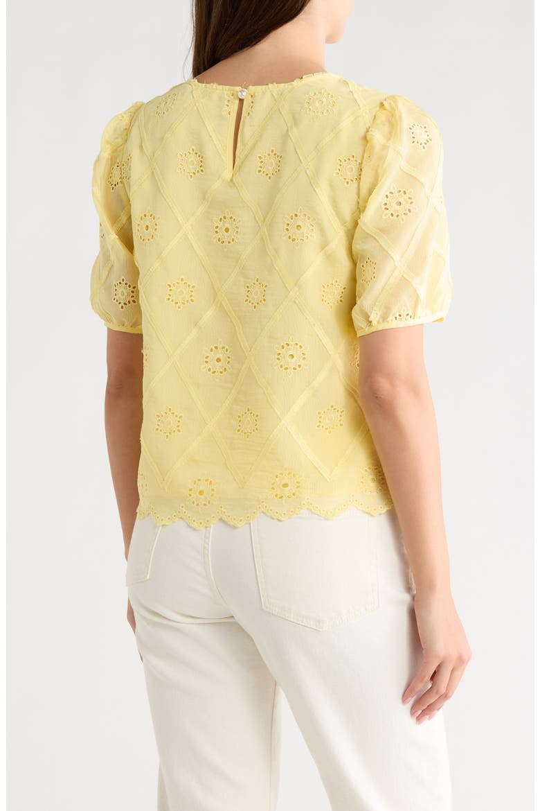 Embroidered Eyelet Short Sleeve Top, Alternate, color, YELLOW