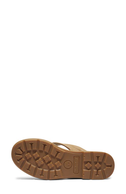 Timberland Calista Bay Flip Flop In Medium Beige Full Grain