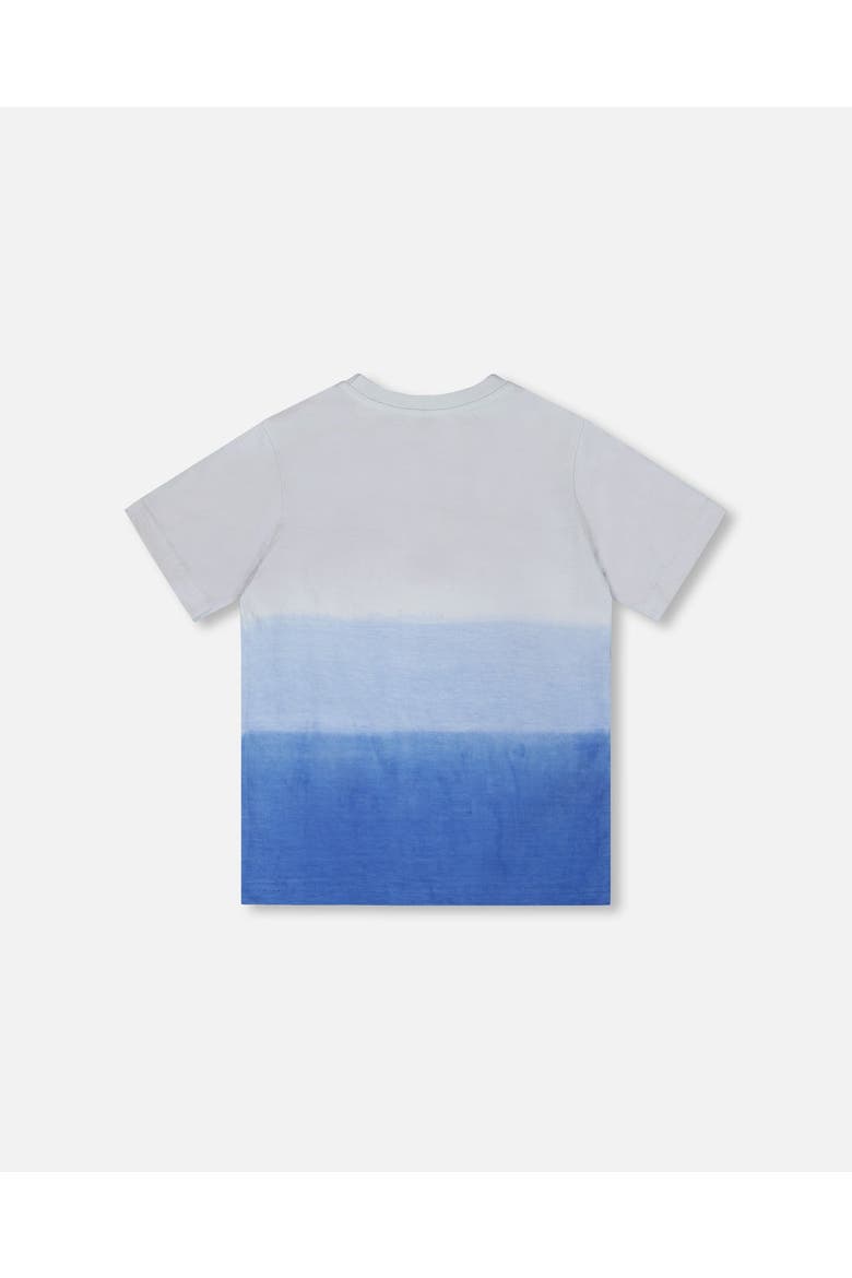Organic Cotton Jersey T-Shirt with Gradient, Alternate, color, Gradient Pale Blue