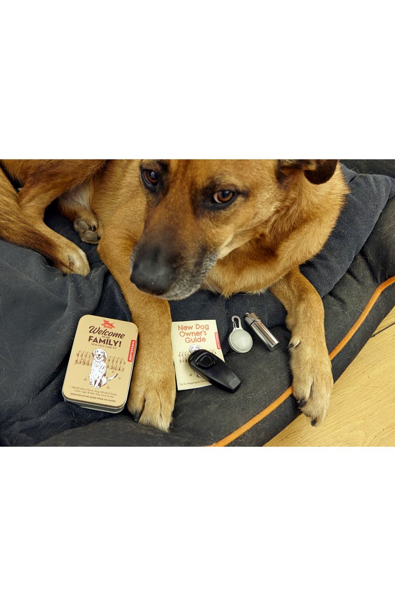 Kikkerland Design Welcome To the Family Dog Kit, Alternate, color, Beige