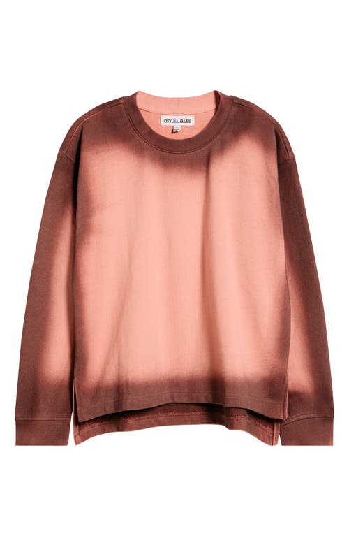 City Blues Spot Dye Terry Sweatshirt In Pink