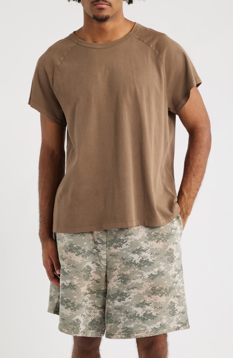 Elwood Raglan Sleeve T-Shirt, Main, color, Brown