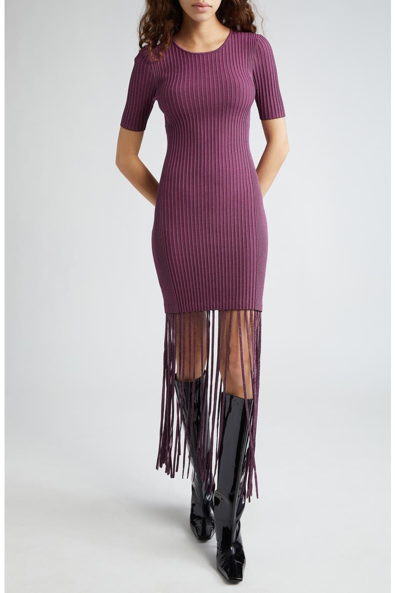 Melange Rib Fringe Detail Knit Dress, Main, color, FIJI FLOWER