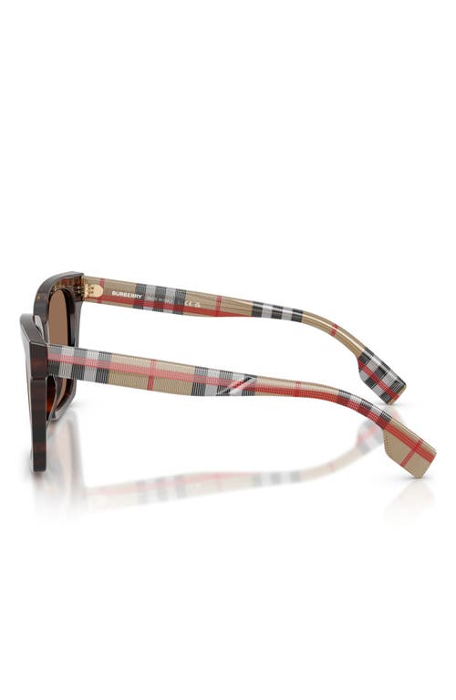 Burberry 53mm Square Sunglasses In Brown