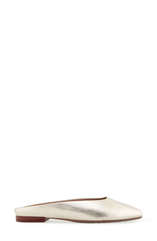 AEROSOLES AEROSOLES AMARA MULE