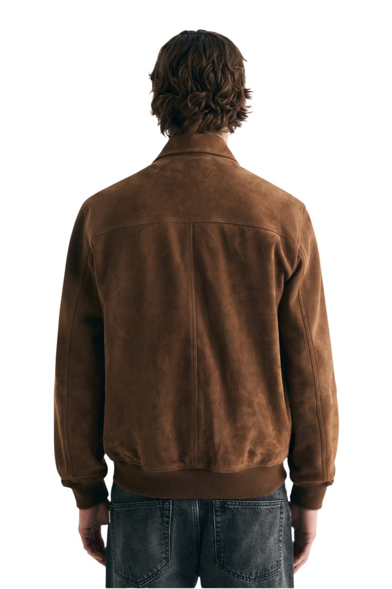 Suede Bomber Jacket, Alternate, color, Brown
