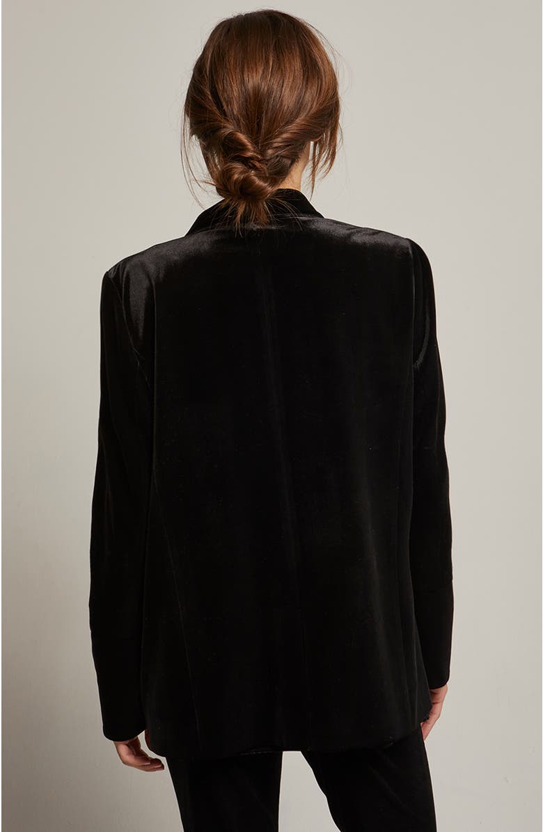 CRESCENT Single Breasted Velvet Blazer, Alternate, color, Black