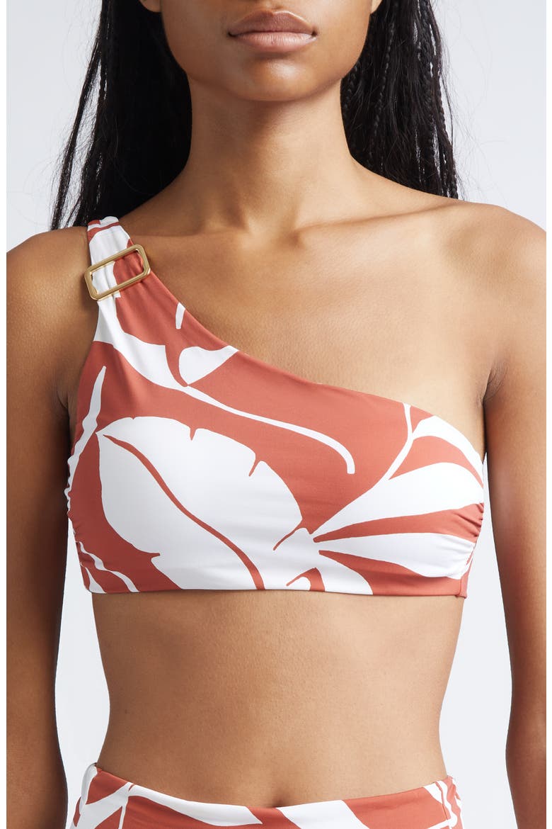 Argenta Beachwear One-Shoulder Bikini Top, Main, color, RUST