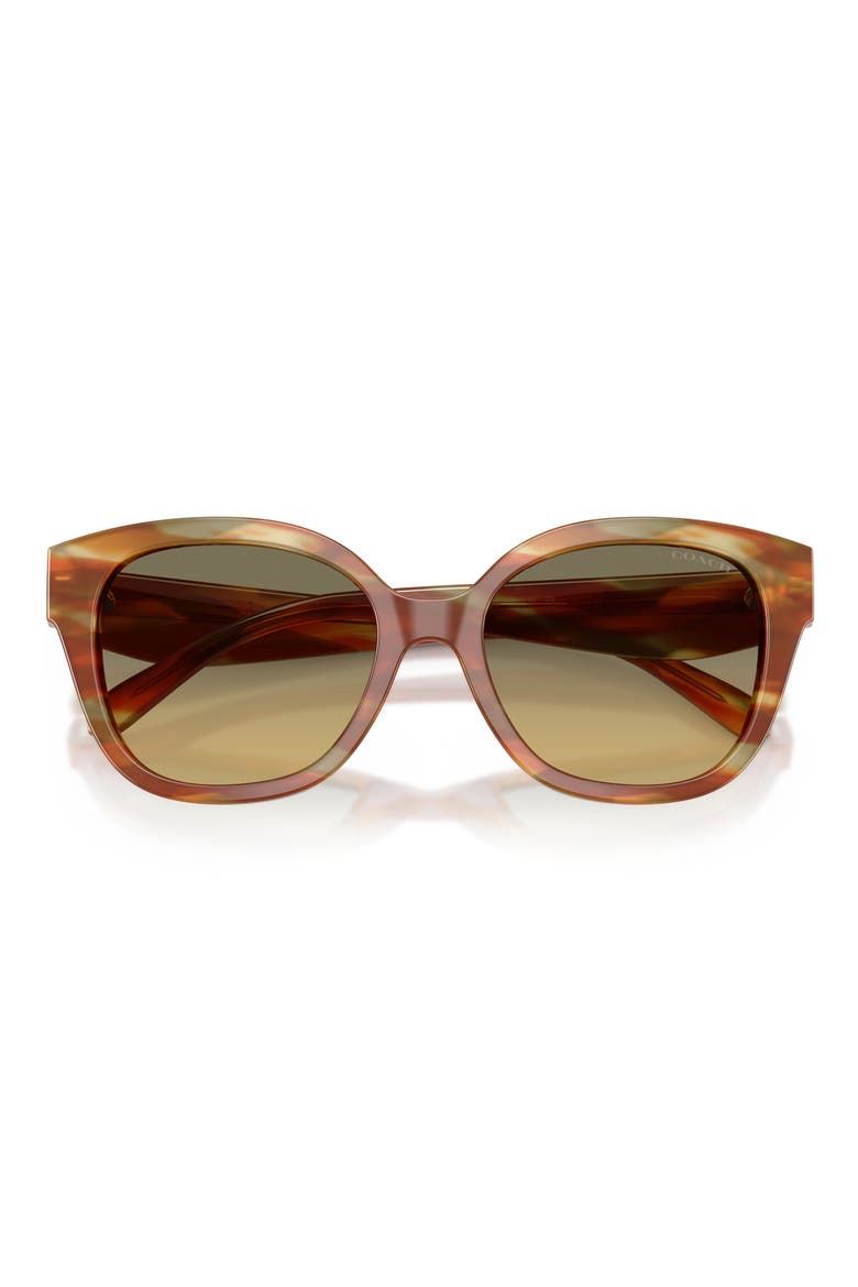 56mm Gradient Square Sunglasses, Alternate, color, STRIATED BARK / MOSS / GREEN
