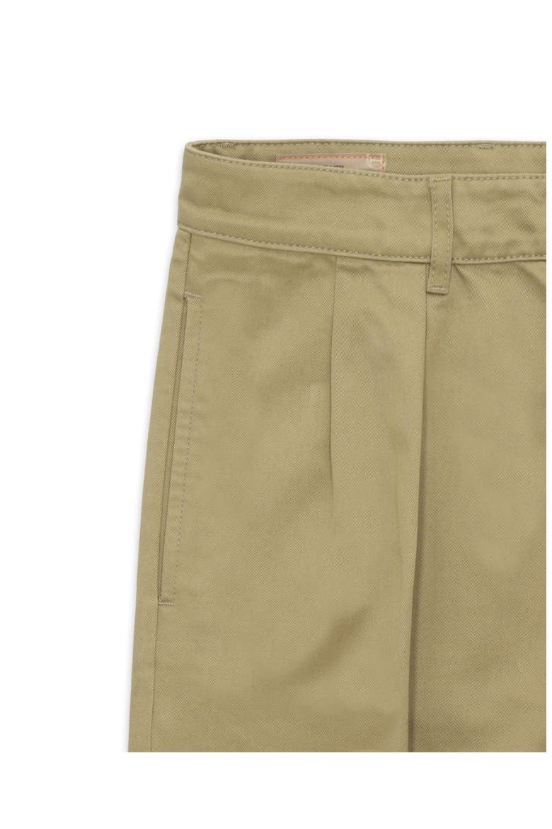 New York Heavyweight Cotton Gabardine Pleated Pants, Alternate, color, SAND