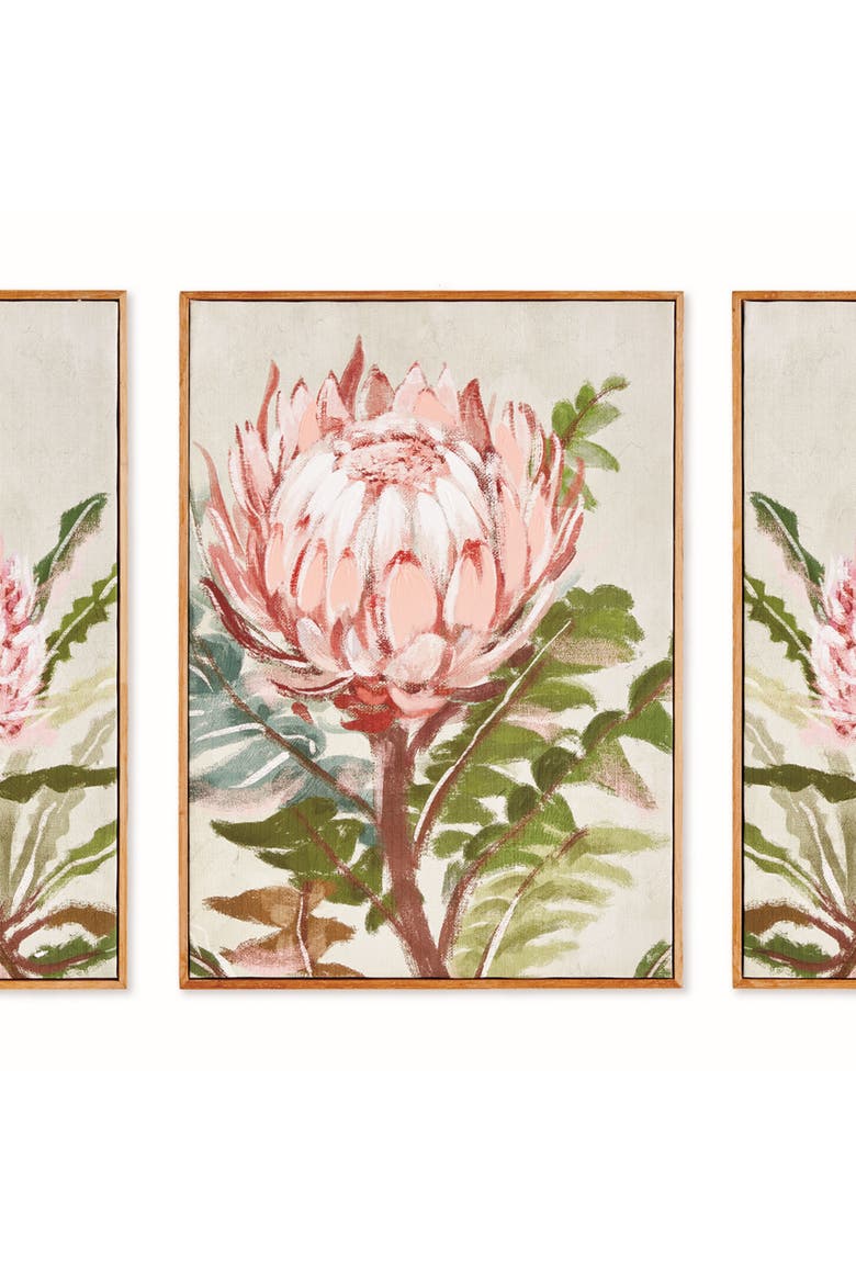 Queen Protea Giclees, Set of 3 - Pink Canvas Art, Alternate, color, Pink
