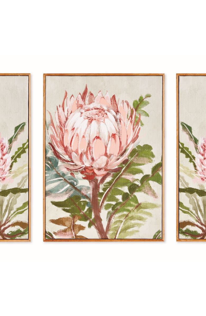 Napa Home & Garden Queen Protea Giclees, Set of 3 - Pink Canvas Art, Alternate, color, Pink