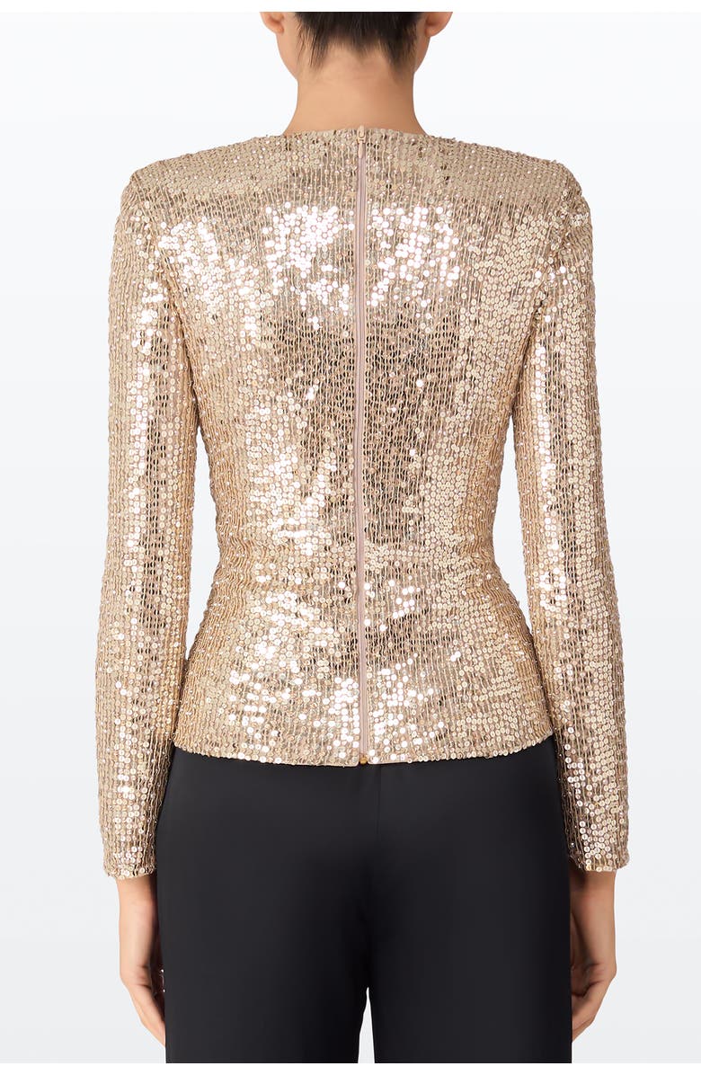 Jenny Packham Misty Blouse, Alternate, color, Cashmere